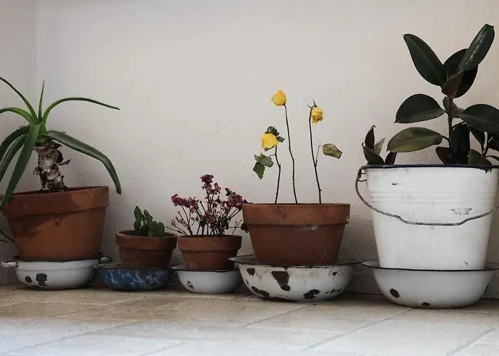 Maison Le Champ Questa Casa Non è Un 3* La Salle